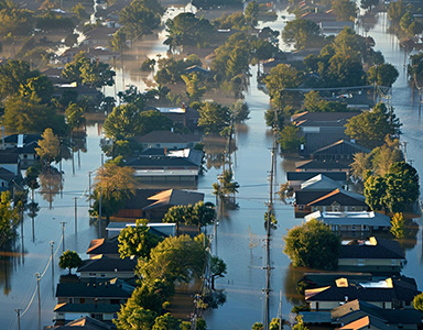 The U.N. weather agency issued a &ldquo;red alert&rdquo; about global warming in June 2024. Even though global efforts to implement environmental policies, the world&rsquo;s efforts to reverse the tre...